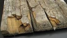 Adept UK Damp & Decay