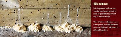 Adept UK Damp & Decay