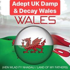 Adept UK Damp & Decay