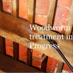 woodworm treatment specialists in loft, woodworm survey in house, infestation, report, inspection, specialists, beetle, 