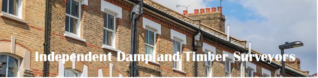 Adept UK Damp & Decay